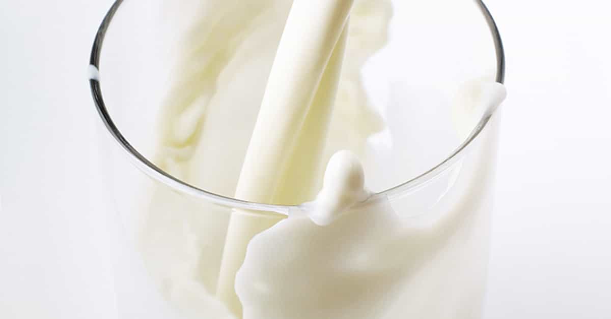Laktozsuz Süt Ürünleri Nelerdir?