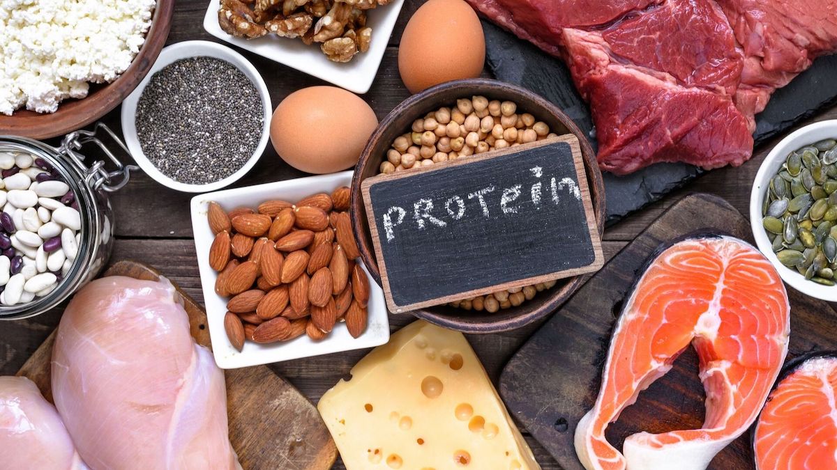 Neden Protein İhtiyacı Duyarız?