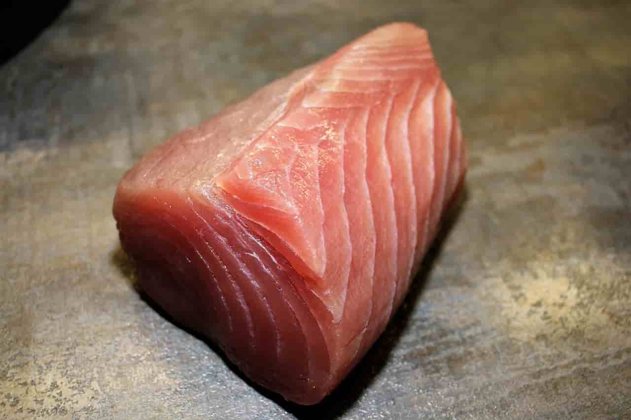 Ton Balığı Hakkında Sık Sorulan Sorular