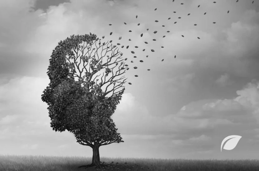 Alzheimer ve Beslenme