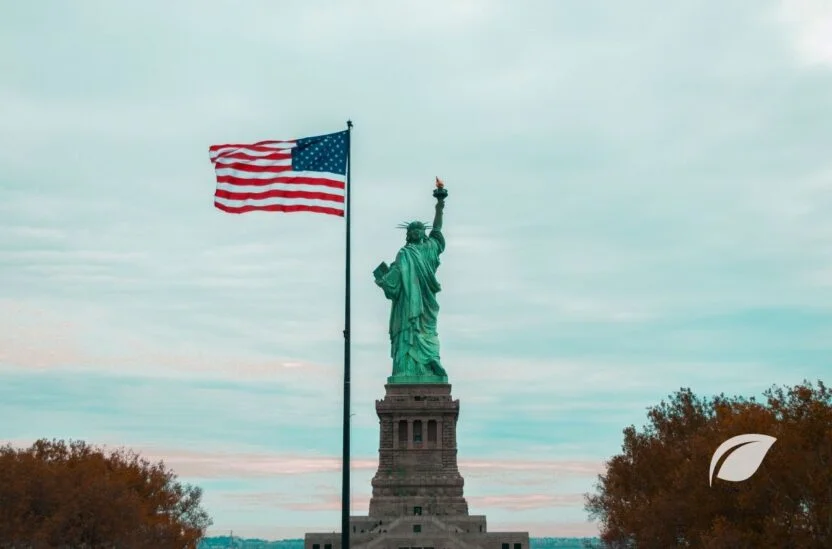 Amerika Online Diyet