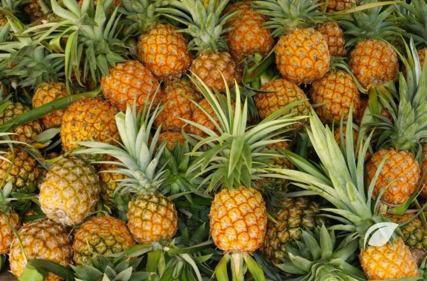 Ananas Kaç Kalori ve Ananasın Faydaları