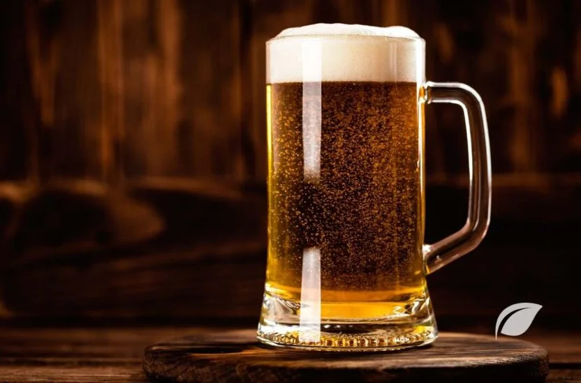 Bira Kaç Kalori ve Biranın Faydaları