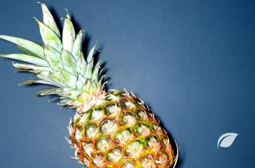 Bromelain Nedir? Ne İşe Yarar?