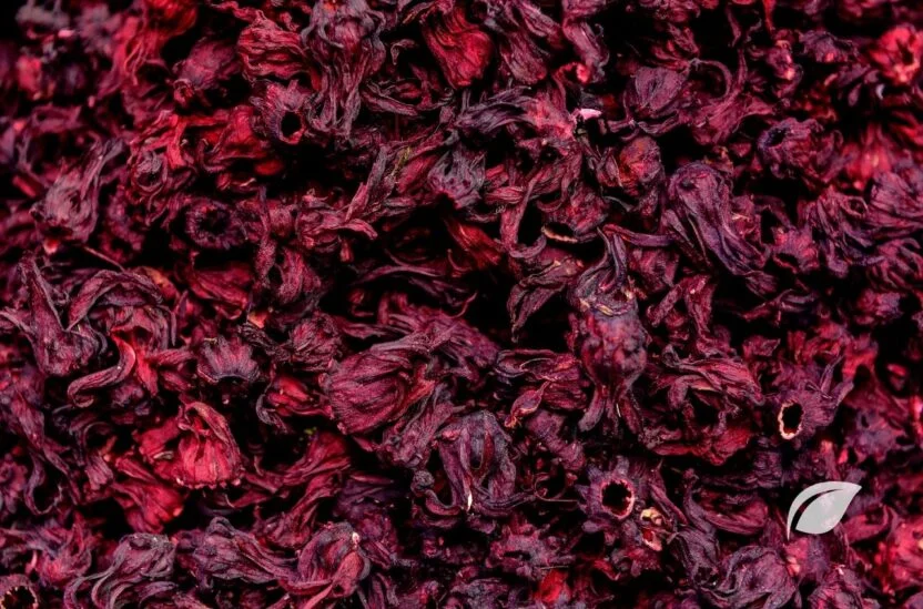 Hibiskusun Faydaları - Hibiskus Çayı
