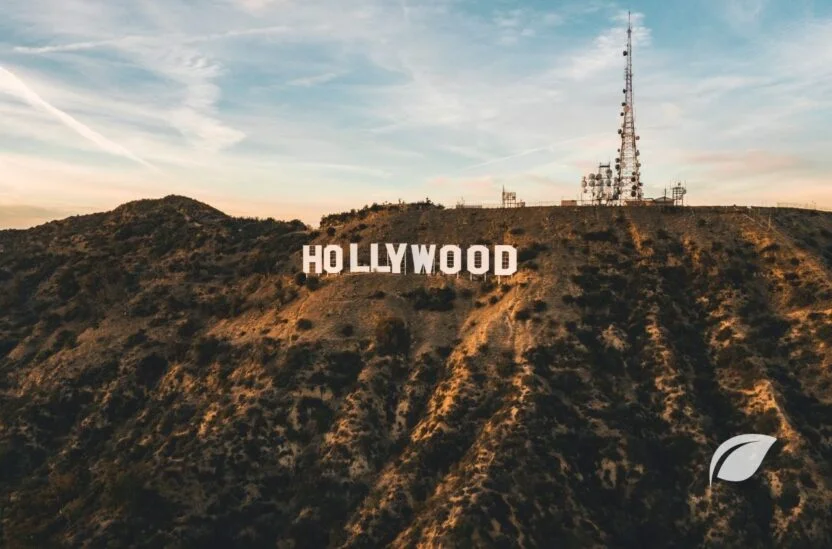 Hollywood Diyeti
