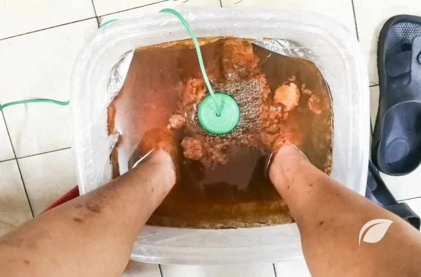 İyon Detoks Cihazı
