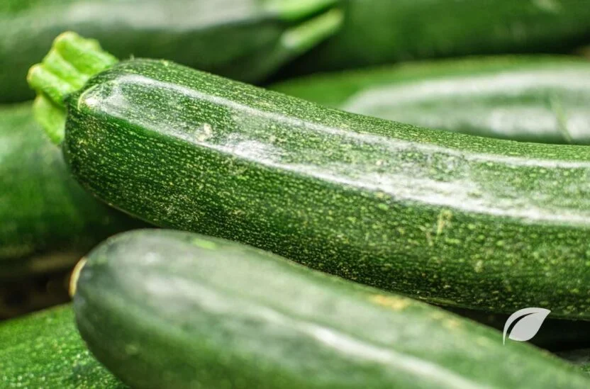 Kabak Kaç Kalori ve Kabağın Faydaları