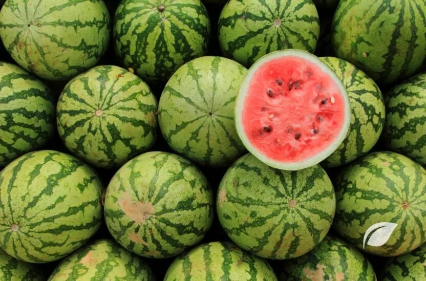 Karpuz Kaç Kalori ve Karpuzun Faydaları