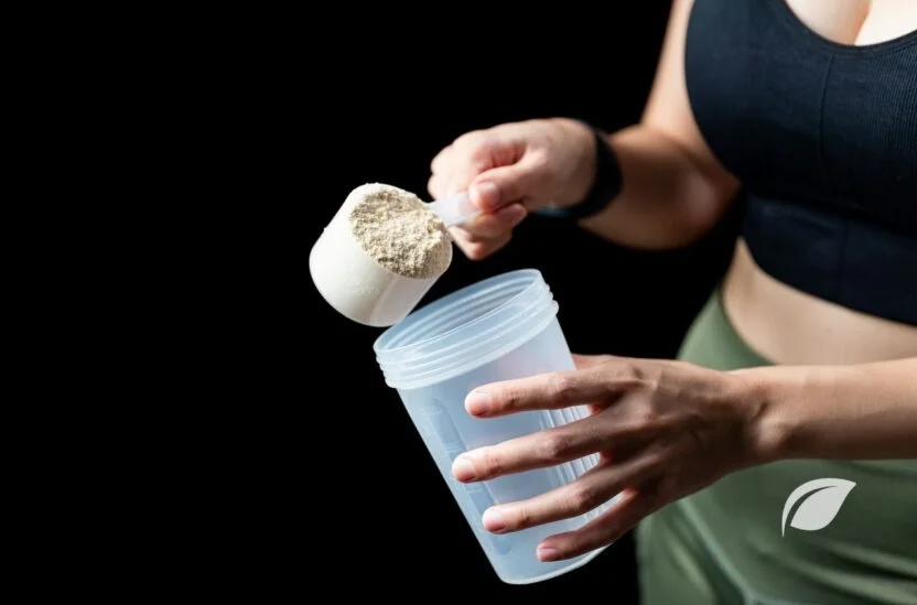 Kazein Protein Tozu