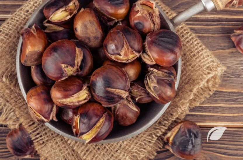 Kestane Kaç Kalori ve Kestanenin Faydaları