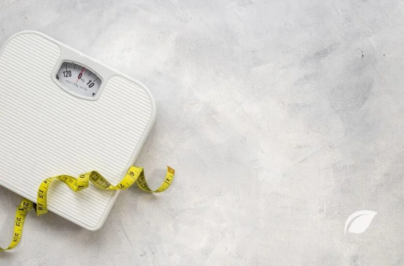 Leptin Diyeti