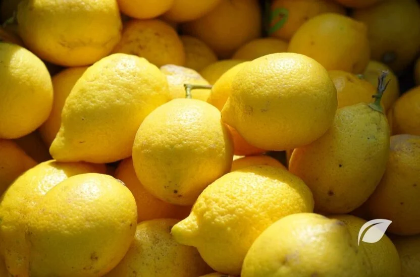 Limon Kaç Kalori ve Limonun Faydaları