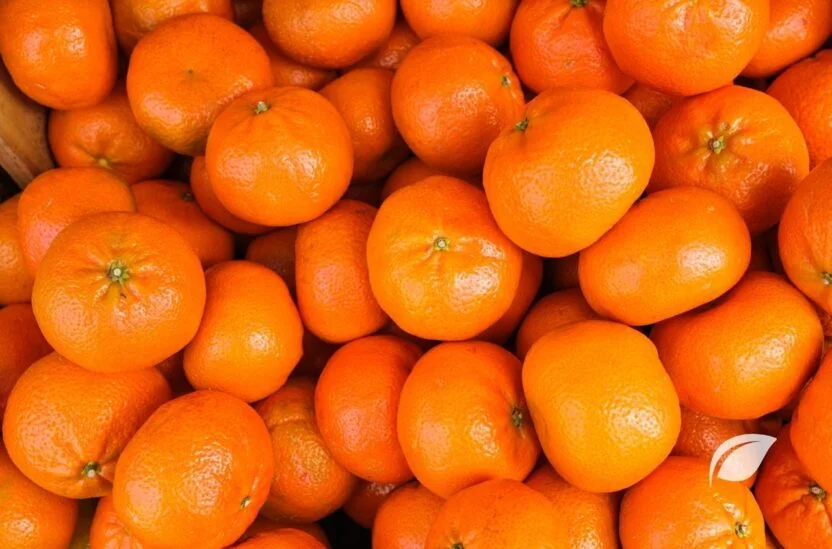 Mandalina Kaç Kalori ve Mandalinanın Faydaları