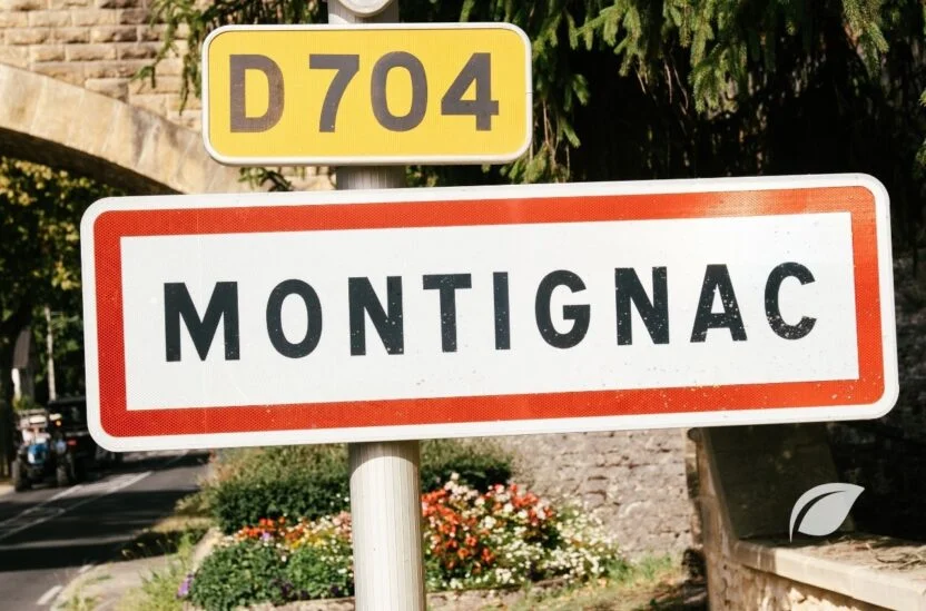 Montignac Diyeti