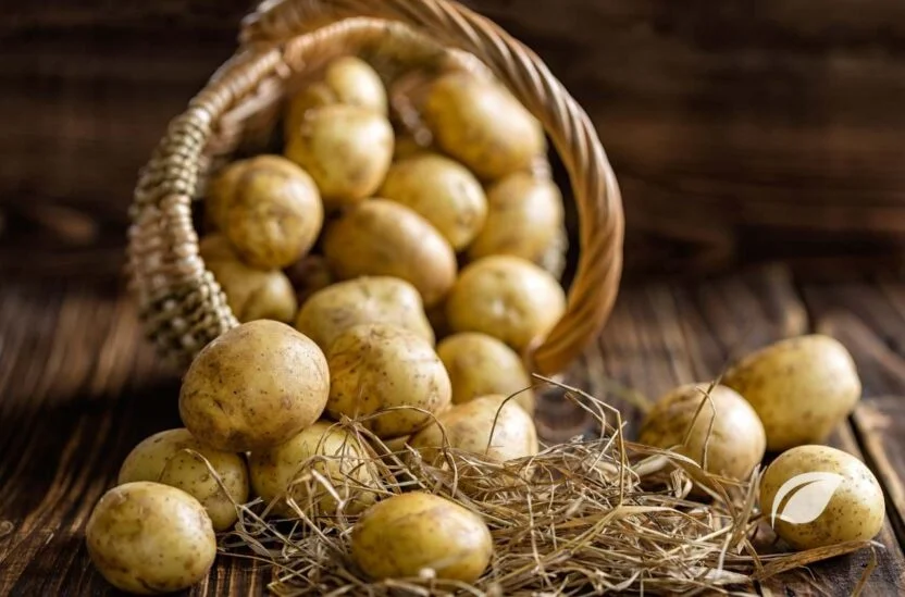 Patates Kaç Kalori ve Patatesin Faydaları