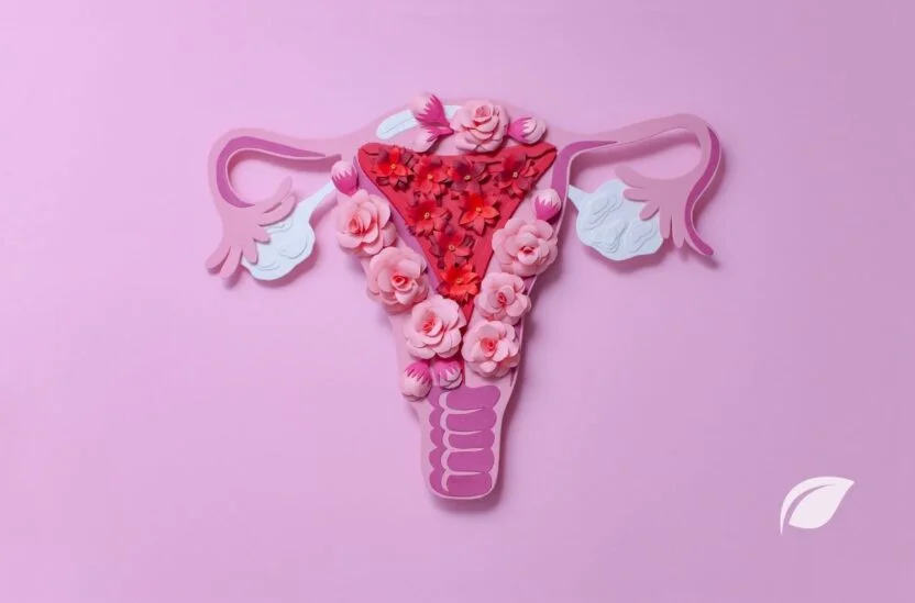 Progesteron Hormonu