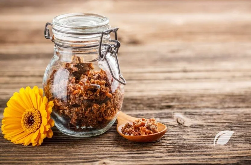 Propolis Faydaları