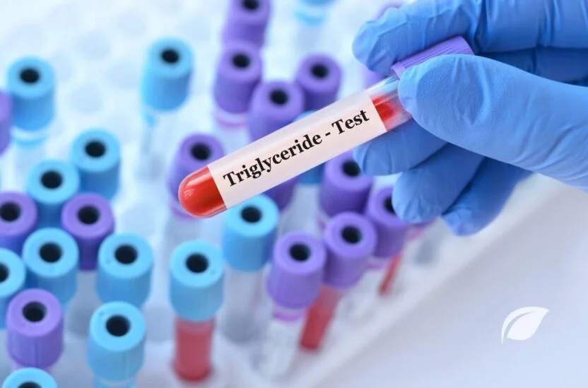 Trigliserid Yüksekliği