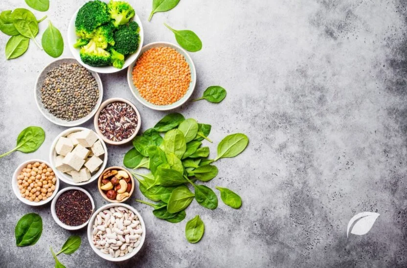 Vegan Protein Kaynakları & Bitkisel Proteinler