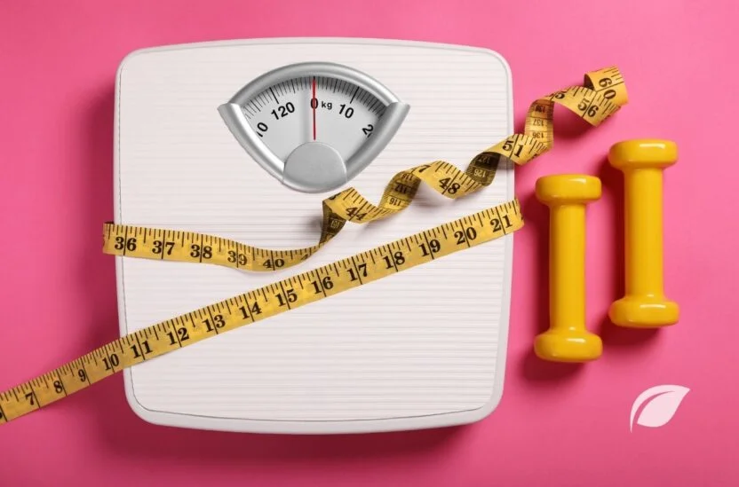 Weight Watchers Diyeti