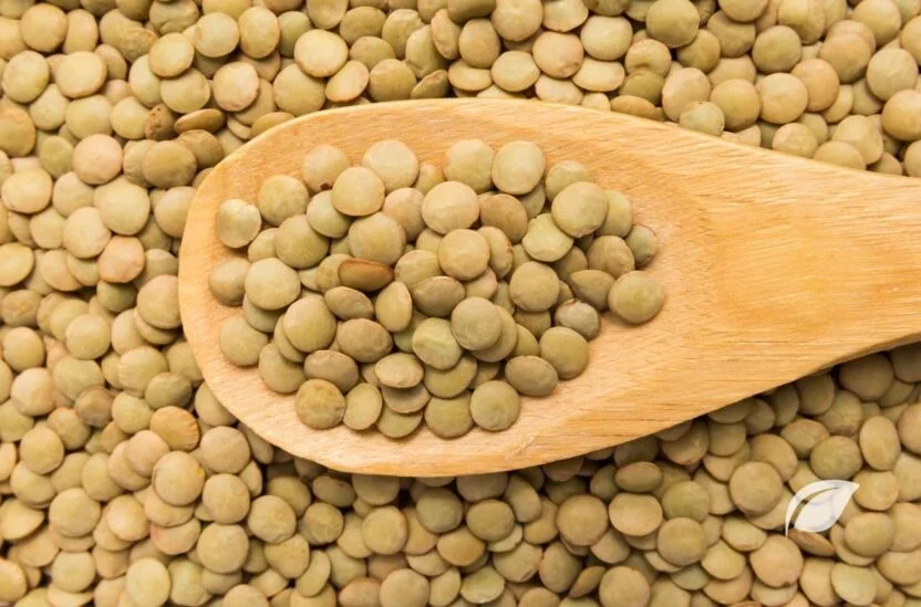 Yeşil Mercimek Kaç Kalori ve Faydaları