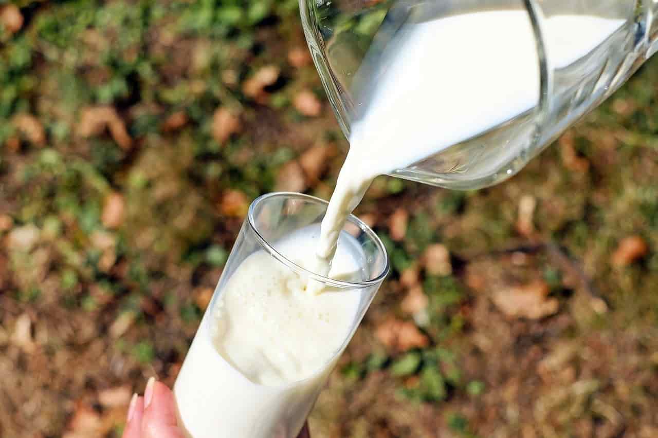 Laktozsuz Sütün Zararları