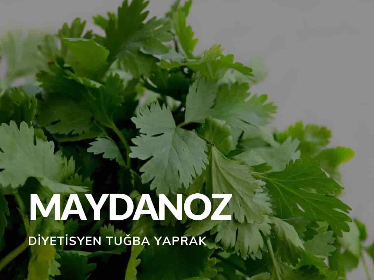 Maydanoz