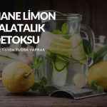 Nane Limon Salatalık Detoksu