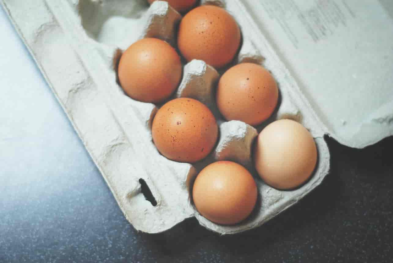 Yumurtanın Besin Değerleri