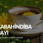 Karahindiba Çayı