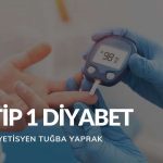 Tip 1 Diyabet