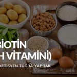 Biotin (H Vitamini)