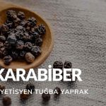 Karabiber