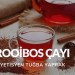 Rooibos Çayı