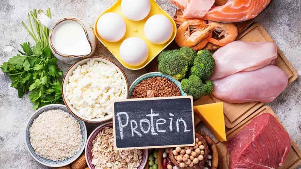 Günlük Protein İhtiyacı