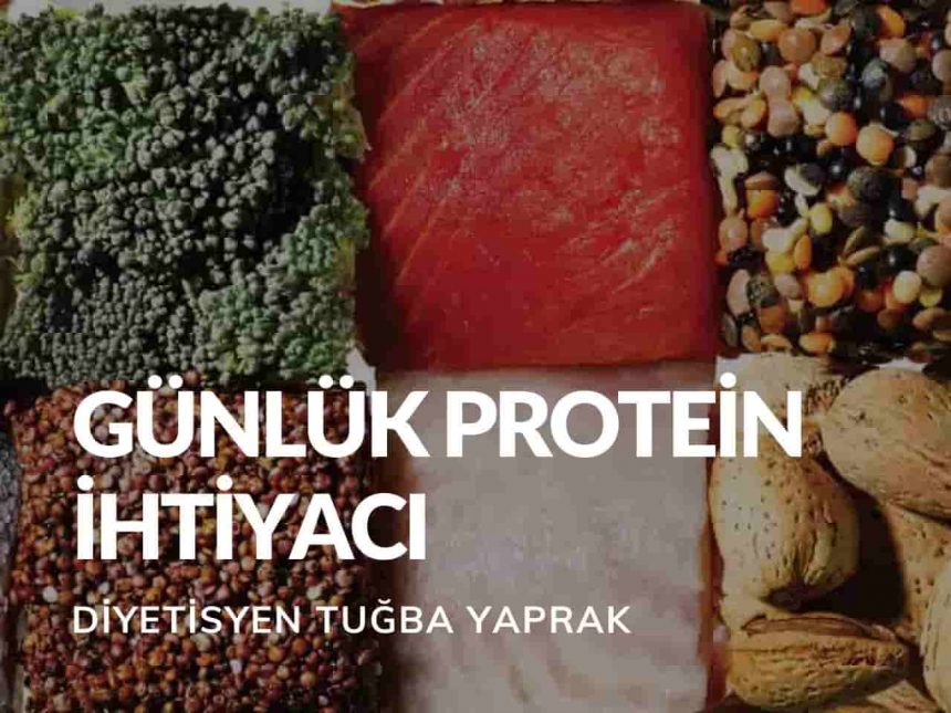Günlük Protein İhtiyacı