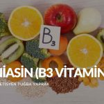 Niasin (B3 Vitamini)