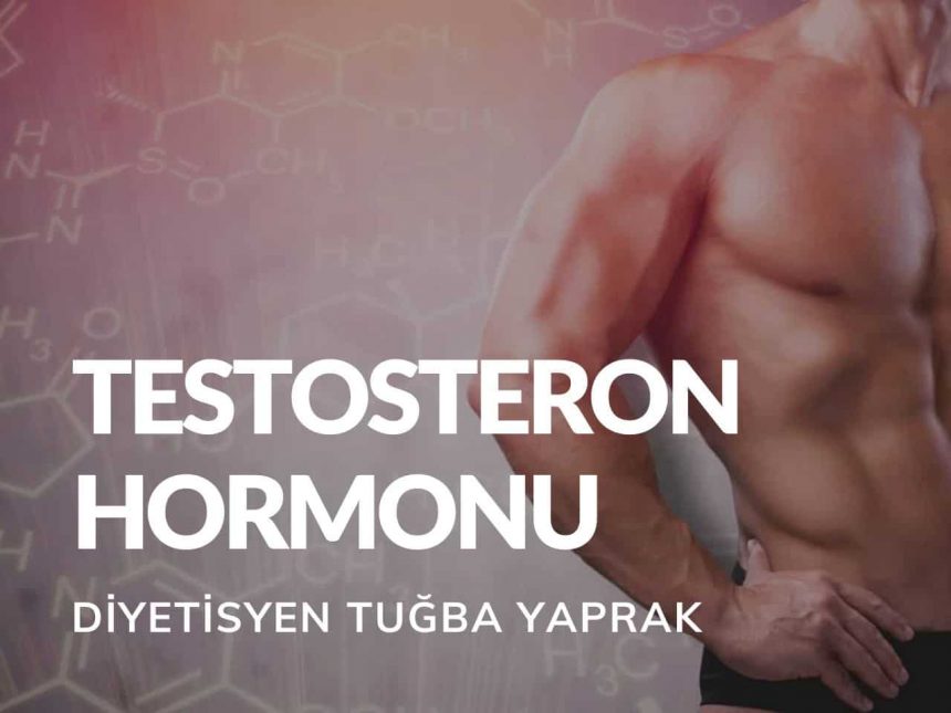 Testosteron Hormonu