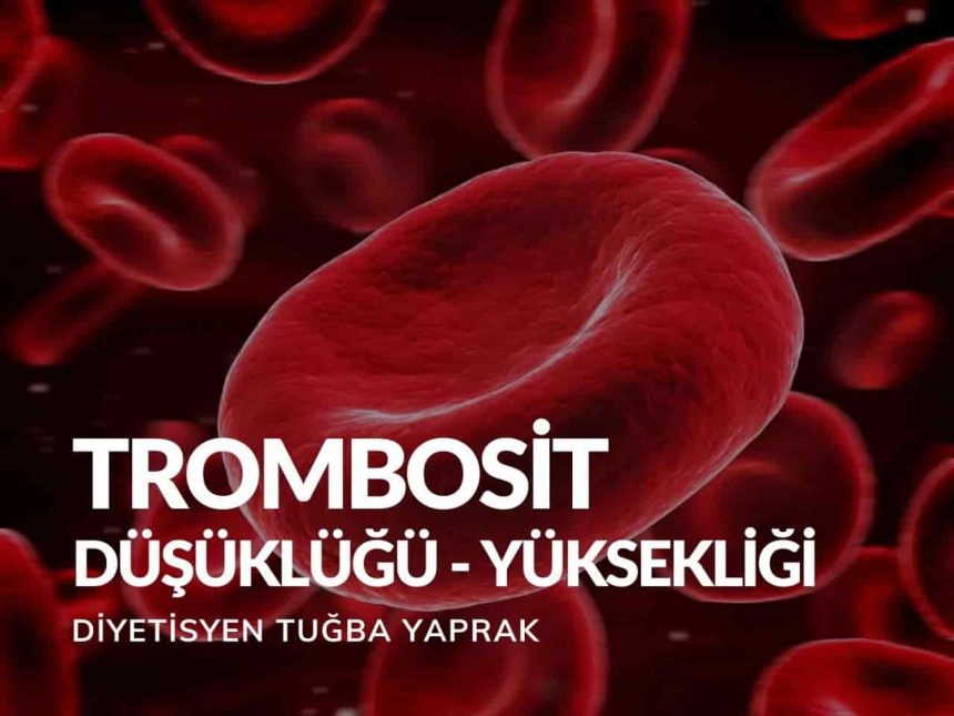 Trombosit