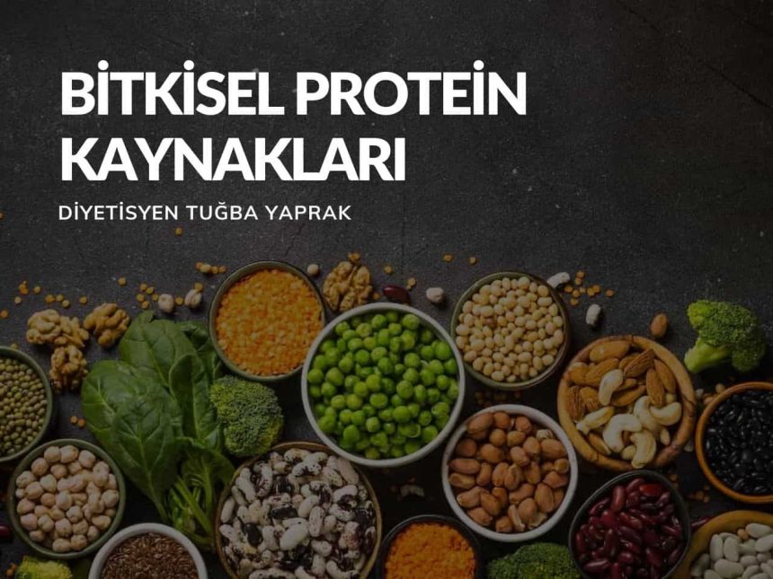 Bitkisel Protein Kaynakları