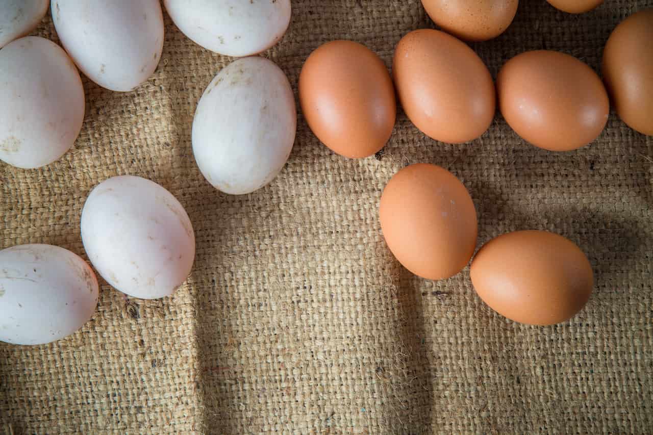 Yumurta Hangi Durumlarda Bozulur?