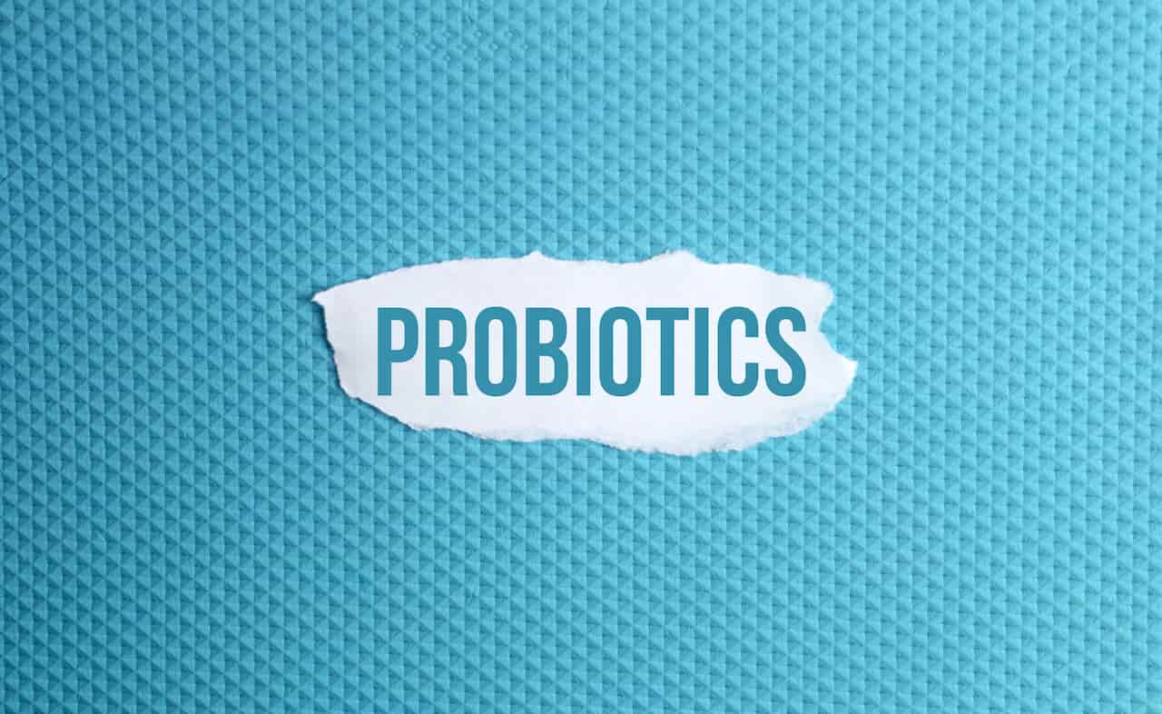 Probiyotikler