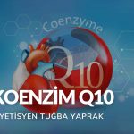Koenzim Q10