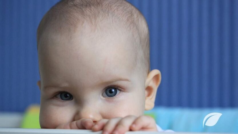 8-11 Aylık Bebek Beslenmesi