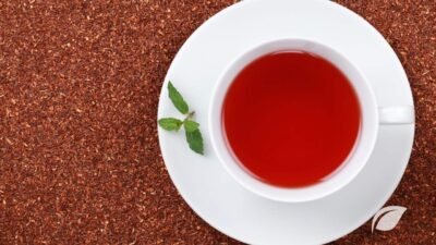 Rooibos Çayı